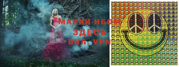 ГАЛЛЮЦИНОГЕННЫЕ ГРИБЫ Елизово