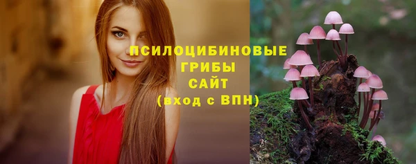тгк Елабуга