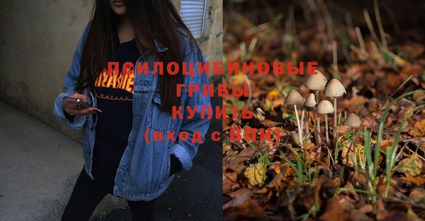 альфа пвп Ельня