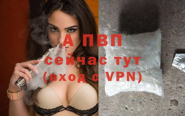 ГАЛЛЮЦИНОГЕННЫЕ ГРИБЫ Елизово