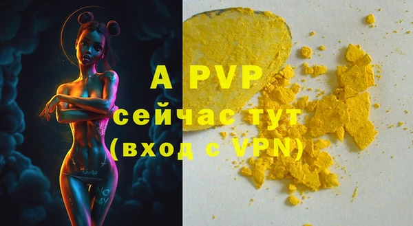 ГАЛЛЮЦИНОГЕННЫЕ ГРИБЫ Елизово