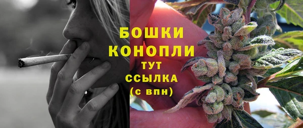 ГАЛЛЮЦИНОГЕННЫЕ ГРИБЫ Елизово