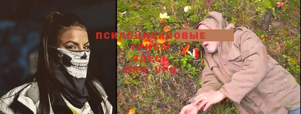 тгк Елабуга